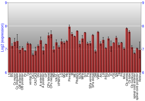 Expression graph