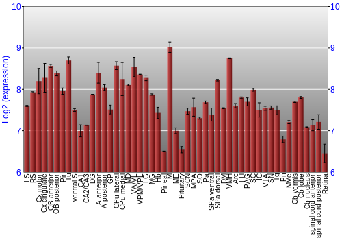 Expression graph