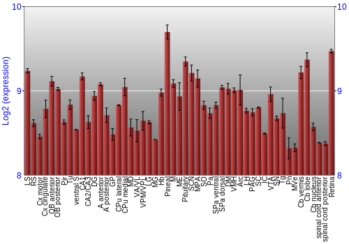 Expression graph