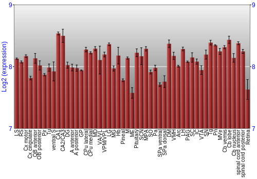 Expression graph