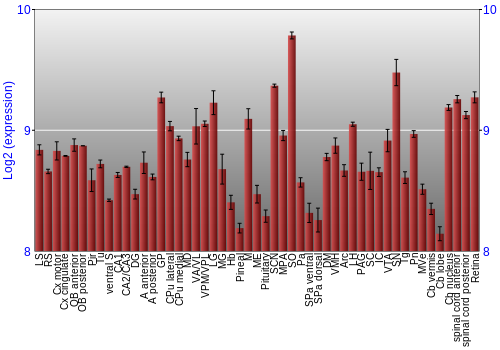 Expression graph