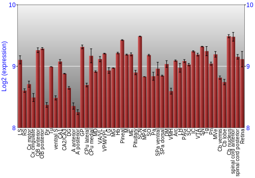 Expression graph