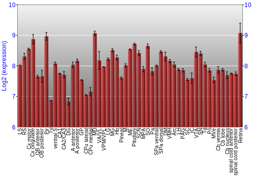 Expression graph