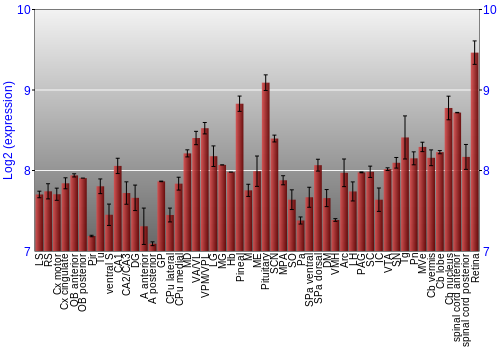 Expression graph