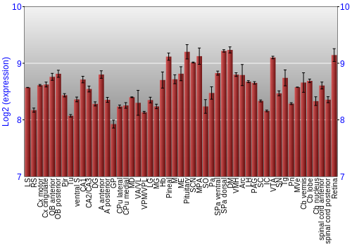 Expression graph