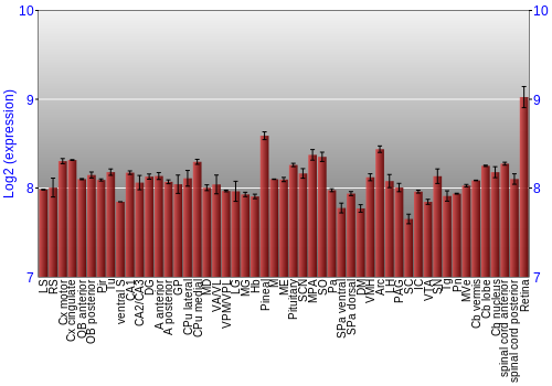 Expression graph