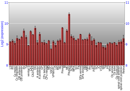 Expression graph