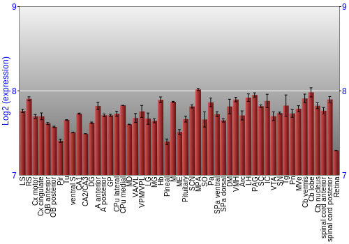 Expression graph