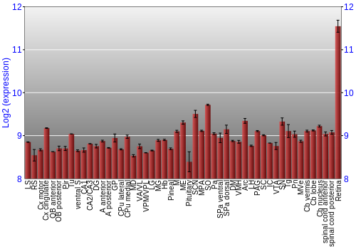 Expression graph