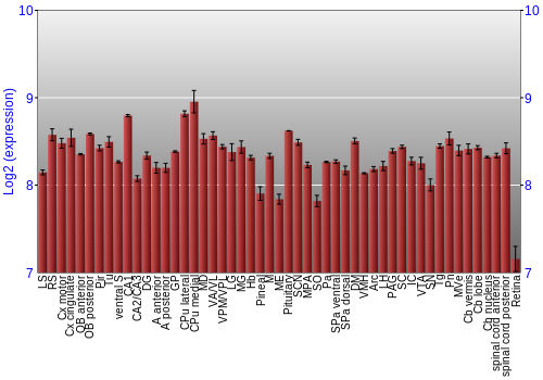 Expression graph