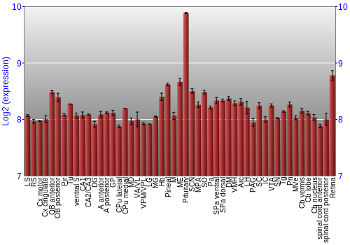 Expression graph