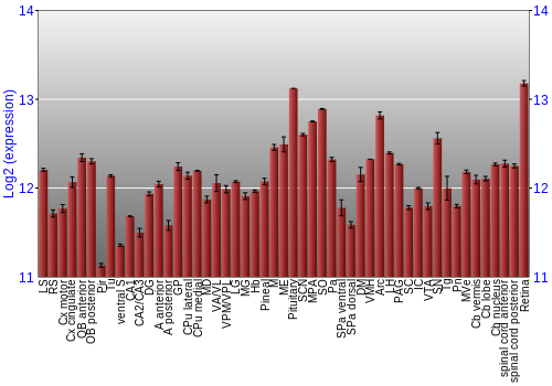 Expression graph