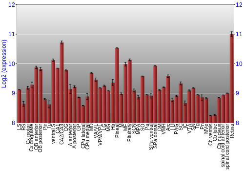 Expression graph
