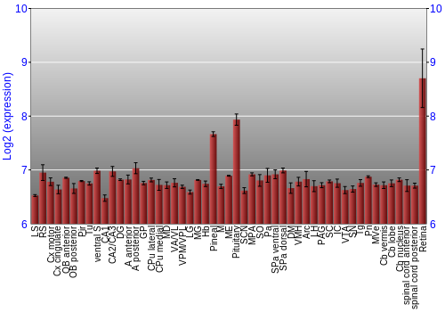 Expression graph