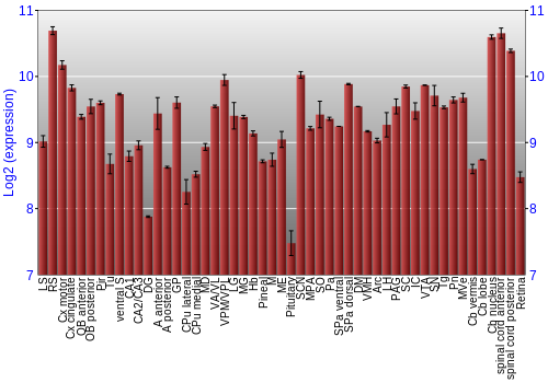Expression graph