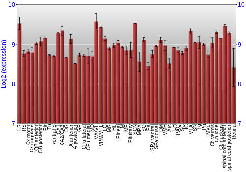 Expression graph