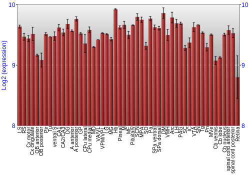 Expression graph