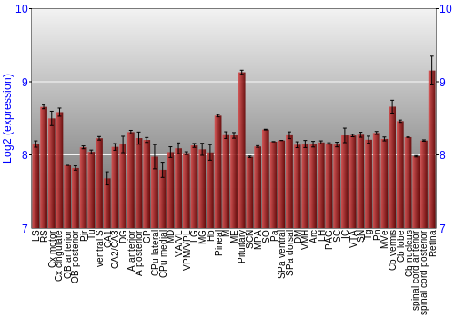 Expression graph