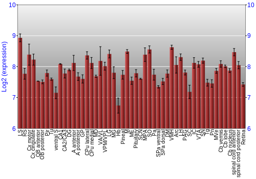 Expression graph