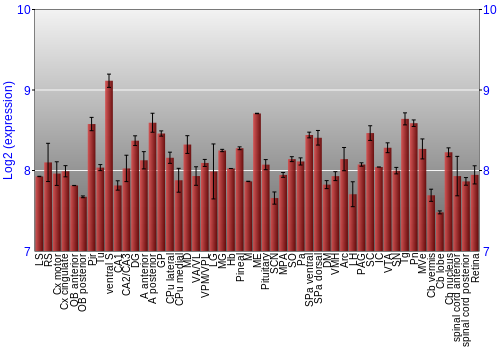 Expression graph