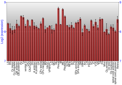 Expression graph