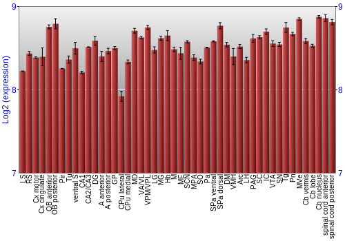 Multi-state expression graph