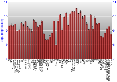Expression graph