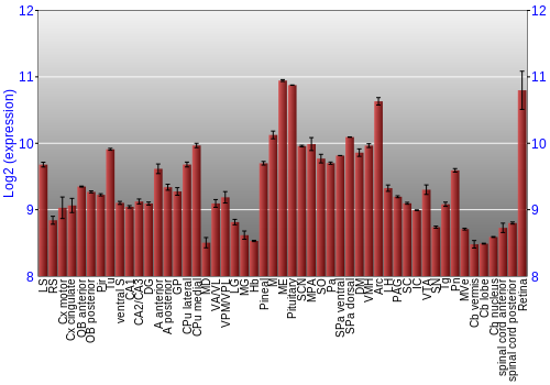 Expression graph