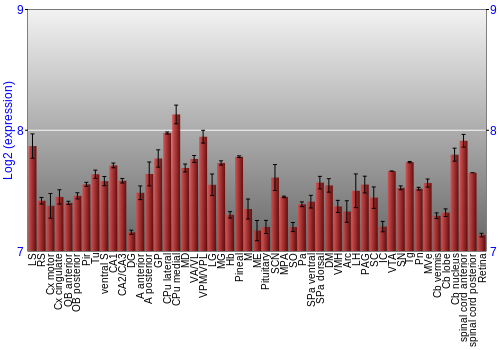 Expression graph