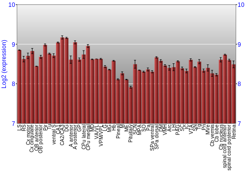 Expression graph