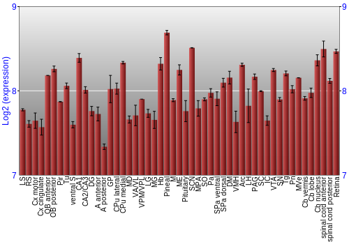 Expression graph