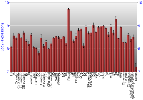 Expression graph
