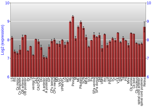 Expression graph