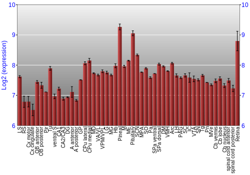 Expression graph
