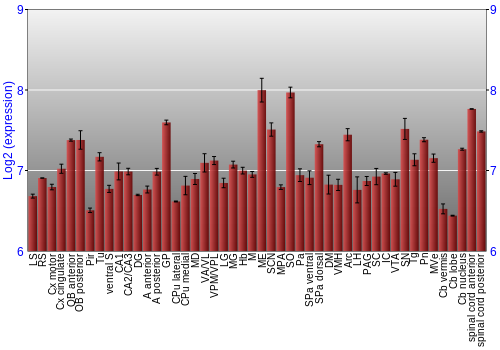 Multi-state expression graph
