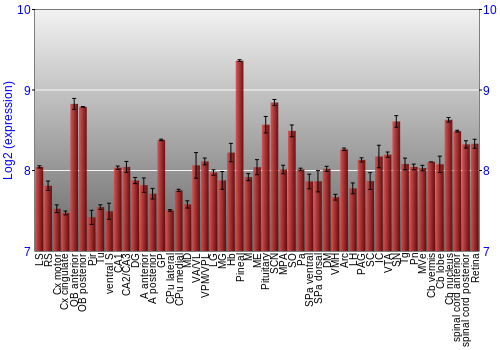 Expression graph