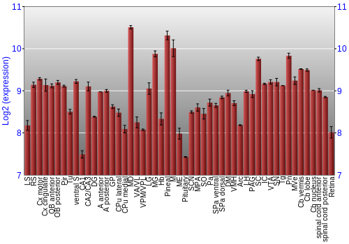Expression graph