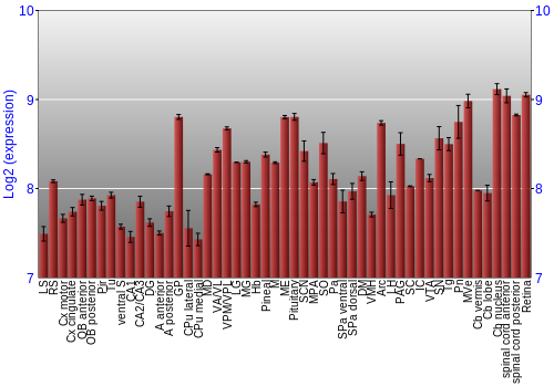 Expression graph