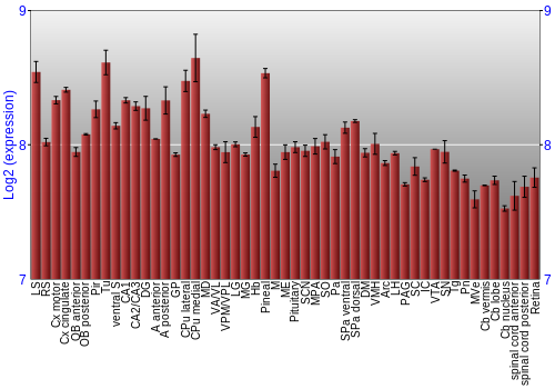 Expression graph