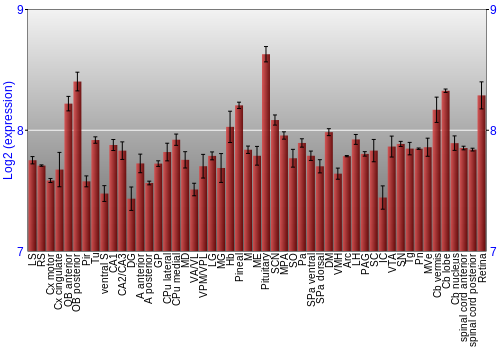Expression graph