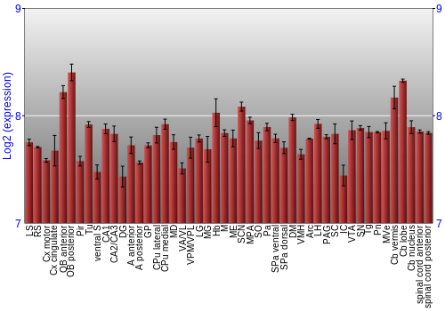 Multi-state expression graph