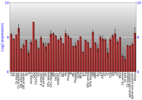 Expression graph