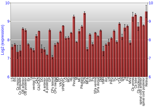 Expression graph
