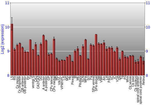 Expression graph