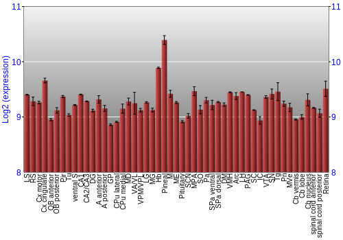 Expression graph