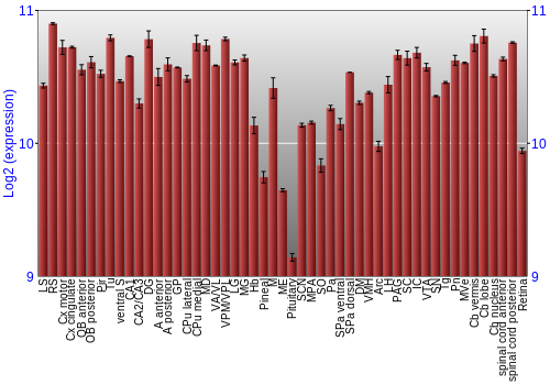 Expression graph
