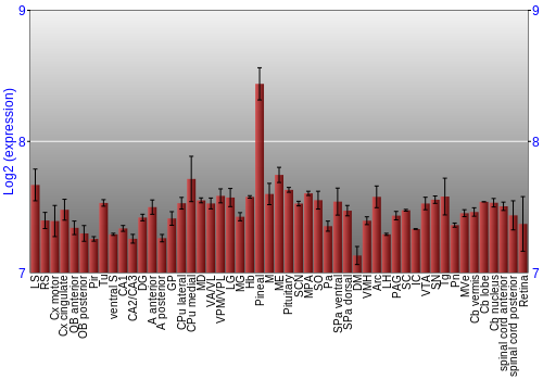 Expression graph