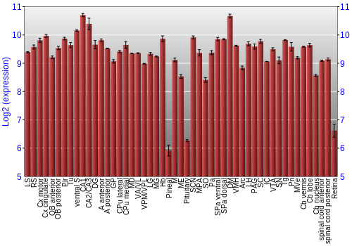 Expression graph