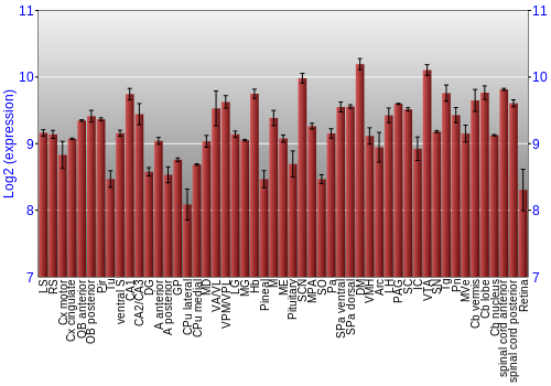 Expression graph