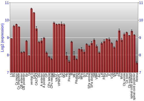 Expression graph